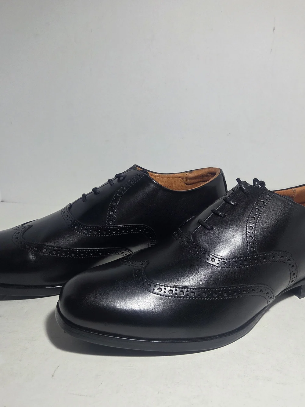 Wolf & Shepherd brand wolf